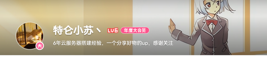 B站Up主.png